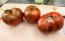 Tomato 'Everett's Rusty' Seeds (Certified Organic)
