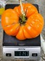 Tomato 'Amana Orange' Seeds (Certified Organic)