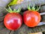 Tomato 'Black Strawberry' Seeds (Certified Organic)