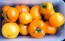 Tomato 'Nebraska Wedding' Seeds (Certified Organic)