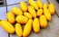 Tomato 'Golden Roma' Seeds (Certified Organic)