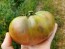 Tomato 'Amazon Chocolate'