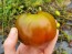 Tomato 'Rosso Bruno' AKA 'Kumato' Seeds (Certified Organic)