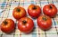 Tomato 'Wisconsin 55' Seeds (Certified Organic)