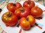 Tomato 'Trophy' Seeds (Certified Organic)