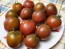 Tomato 'Tamara's Sweet Brown' Seeds (Certified Organic)