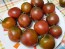 Tomato 'Tamara's Sweet Brown' Seeds (Certified Organic)