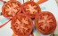 Tomato 'Earliana' Seeds (Certified Organic)