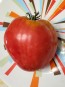 Tomato 'Giant Oxheart' Seeds (Certified Organic)