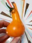 Tomato 'Mila's Orange Pear' Seeds (Certified Organic)