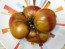 Tomato 'Brad's Black Heart Beefsteak Cross' Seeds (Certified Organic)