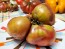 Tomato 'Brad's Black Heart Beefsteak Cross' Seeds (Certified Organic)