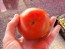 Tomato 'Trophy' Seeds (Certified Organic)