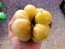 Tomato 'White Tomesol'