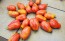 Tomato 'Sausage'