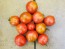 Tomato 'Glacier' Seeds (Certified Organic)