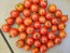 Tomato 'Little Mack Red Cherry' Seeds (Certified Organic)