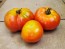 Tomato 'Pierrette'