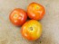 Tomato 'Tomcat F2' Seeds (Certified Organic)