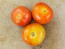 Tomato 'Tomcat F2' Seeds (Certified Organic)