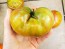 Tomato 'Vorlon' 