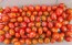 Tomato 'Jelly Bean' Seeds (Certified Organic)