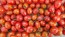 Tomato 'Jelly Bean' Seeds (Certified Organic)
