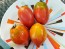 Tomato 'Tamara's San Marzano Pink Strain' Seeds (Certified Organic)