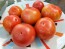 Tomato 'Goose Creek' Seeds (Certified Organic)