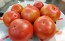 Tomato 'Goose Creek' Seeds (Certified Organic)