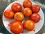 Tomato 'Earliana' Seeds (Certified Organic)