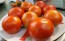 Tomato 'Earliana' Seeds (Certified Organic)