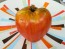 Tomato 'Giant Oxheart' Seeds (Certified Organic)