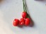 Hot Pepper ‘Bird Aji' Seeds (Certified Organic)