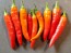 Hot Pepper ‘Red Thai’ Seeds (Certified Organic)