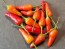 Hot Pepper ‘Thicc Thai’ Seeds (Certified Organic)