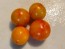 Tomato 'Yellow Sprinkles' Seeds (Certified Organic)