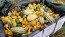 The Ultimate Gourd Seed Mix