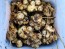 Jerusalem Artichoke AKA Sunchoke Tubers (Certified Organic) 