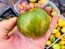 Tomato 'Coeur de Surpriz' Seeds (Certified Organic)