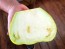 Eggplant ‘Saitama Ao Daimaru’ Seeds (Certified Organic)