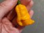 Hot Pepper 'Lemon Ghostly Jalapeno' Seeds (Certified Organic)