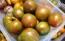 Tomato 'Coeur de Surpriz' Seeds (Certified Organic)