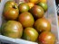 Tomato 'Coeur de Surpriz' Seeds (Certified Organic)