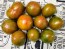 Tomato 'Coeur de Surpriz' Seeds (Certified Organic)