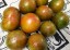 Tomato 'Coeur de Surpriz' Seeds (Certified Organic)