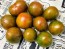 Tomato 'Coeur de Surpriz' Seeds (Certified Organic)