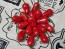 Hot Pepper ‘Chiltepin x Habanero' Seeds (Certified Organic)