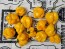 Hot Pepper 'Papa Dreadie Scotch Bonnet' Seeds (Certified Organic)