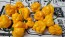 Hot Pepper 'Papa Dreadie Scotch Bonnet' Seeds (Certified Organic)